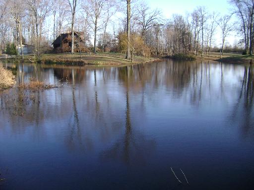 7872 Baylis Road Kinmundy, IL 62854 - Photo 16 of 16 a view of a lake with houses in background