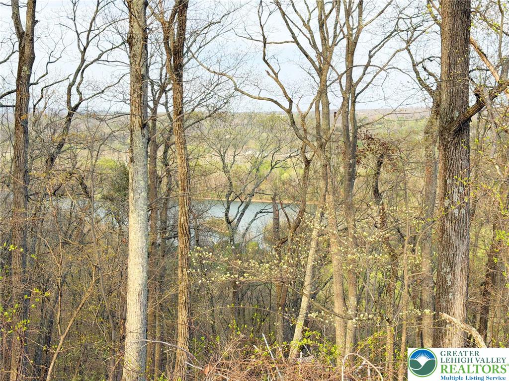 77 Uhlerstown Hill Road Erwinna, PA 18920 - Photo 43 of 47