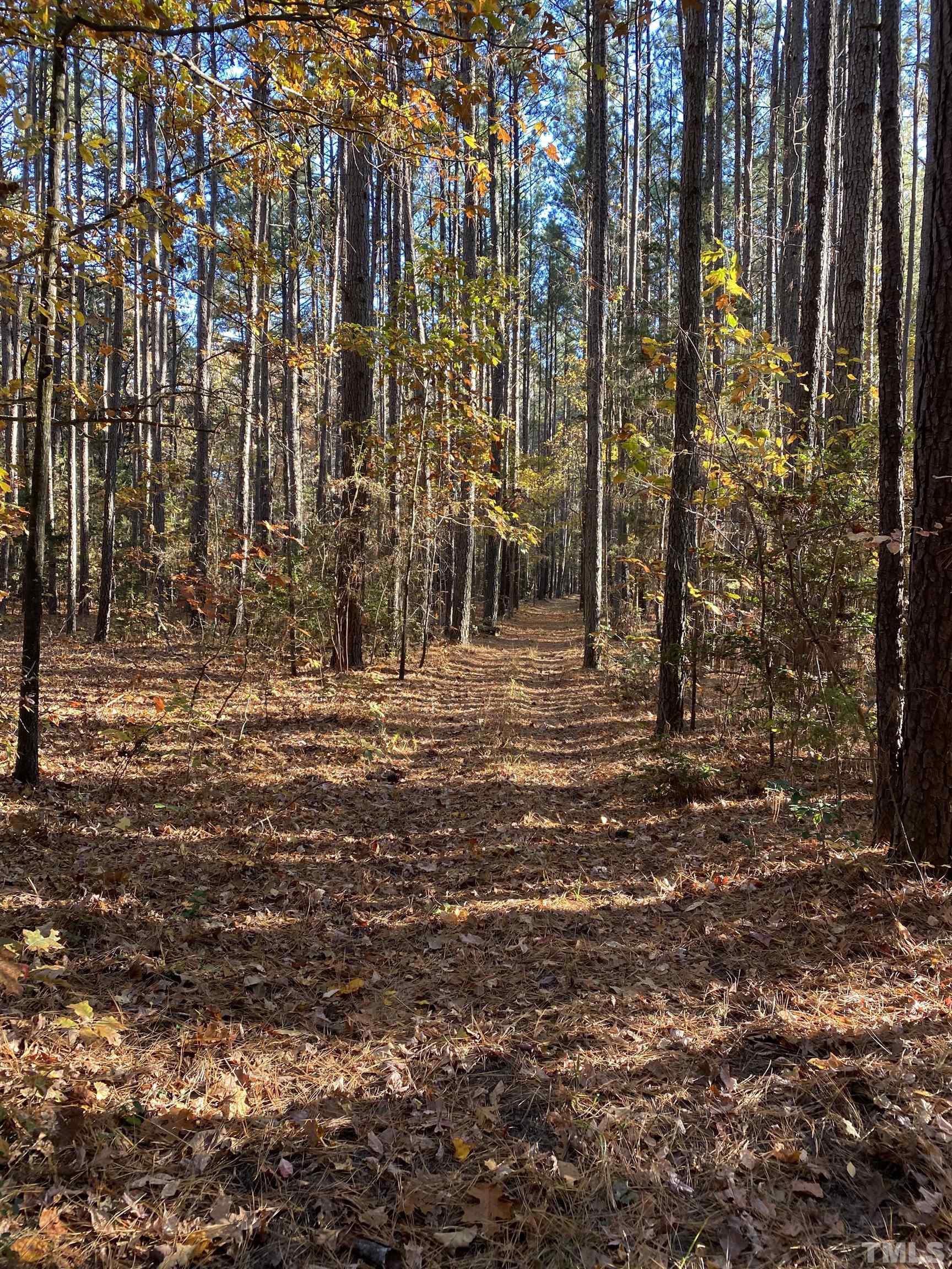 2772 Rock Spring Church Road Henderson, NC 27537 - Photo 3 of 23 Gallery Image 3