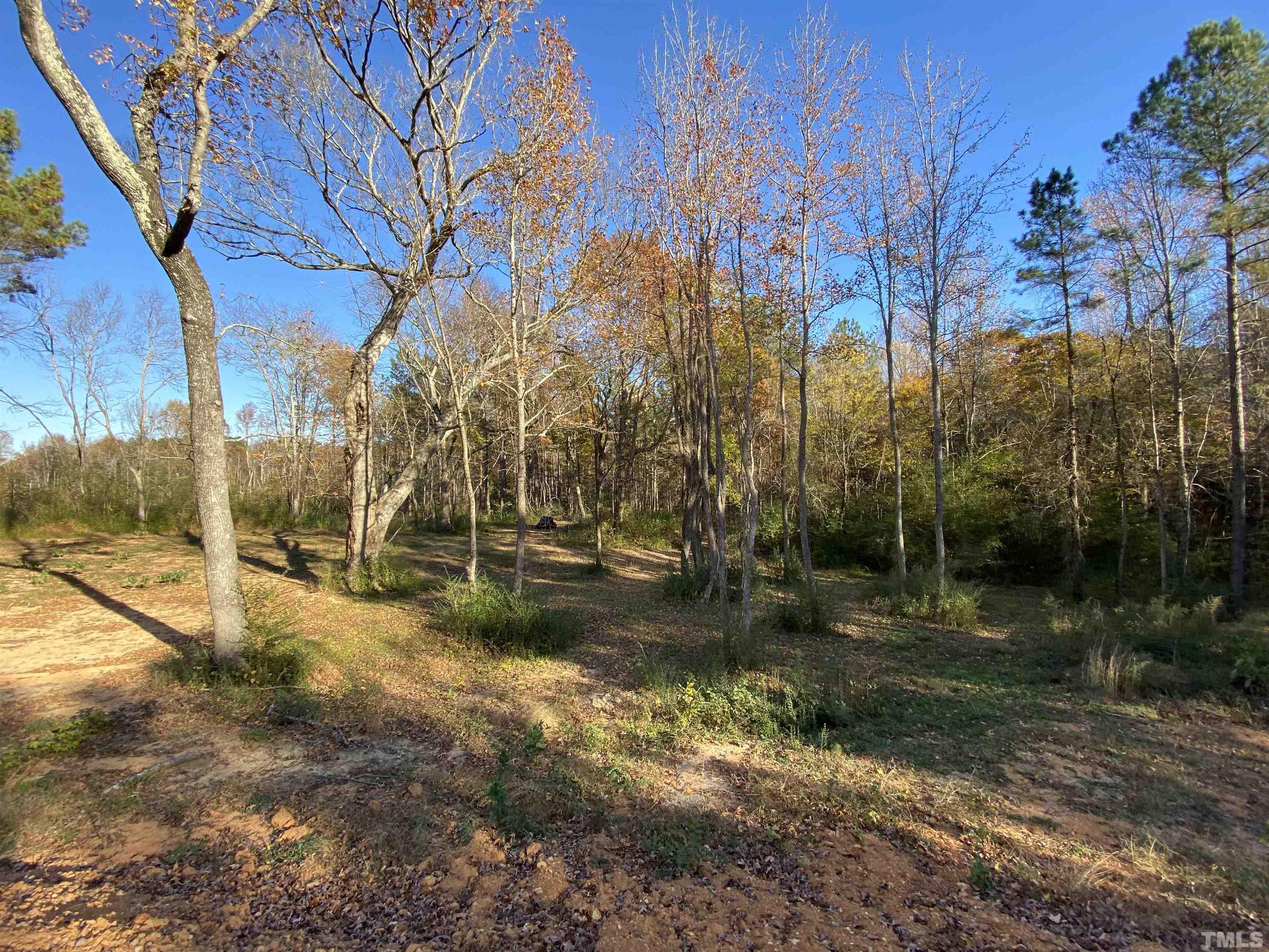 2772 Rock Spring Church Road Henderson, NC 27537 - Photo 9 of 23 Gallery Image 9