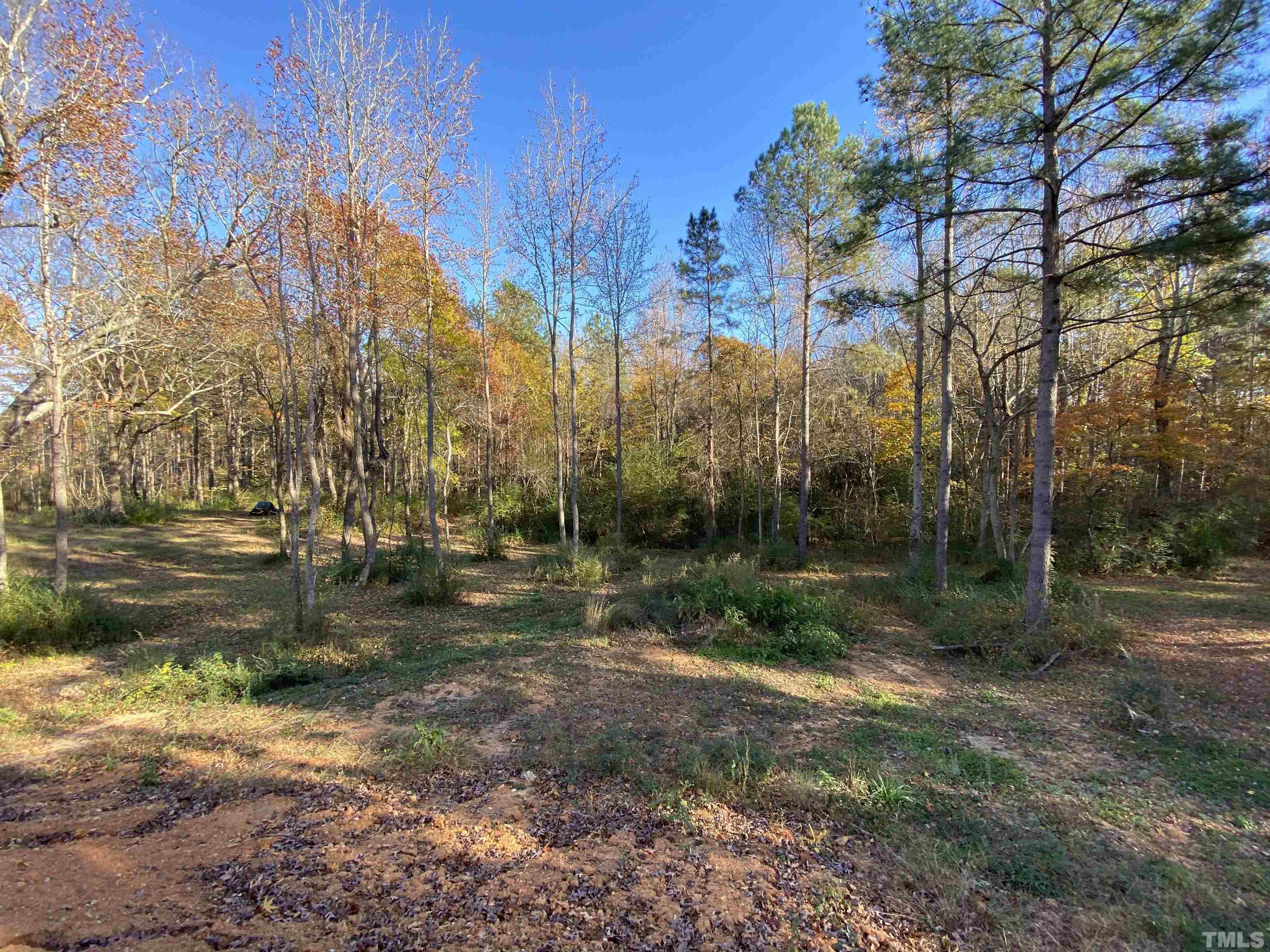 2772 Rock Spring Church Road Henderson, NC 27537 - Photo 10 of 23 Gallery Image 10
