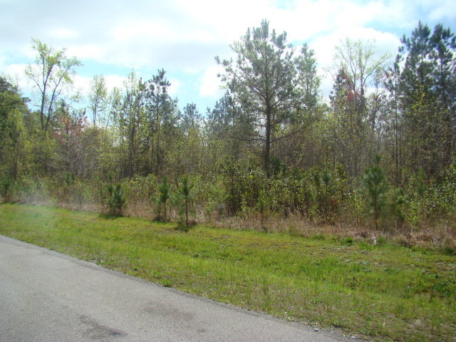 710 White Post Road Bath, NC 27808 - Photo 1 of 15 Primary Photo