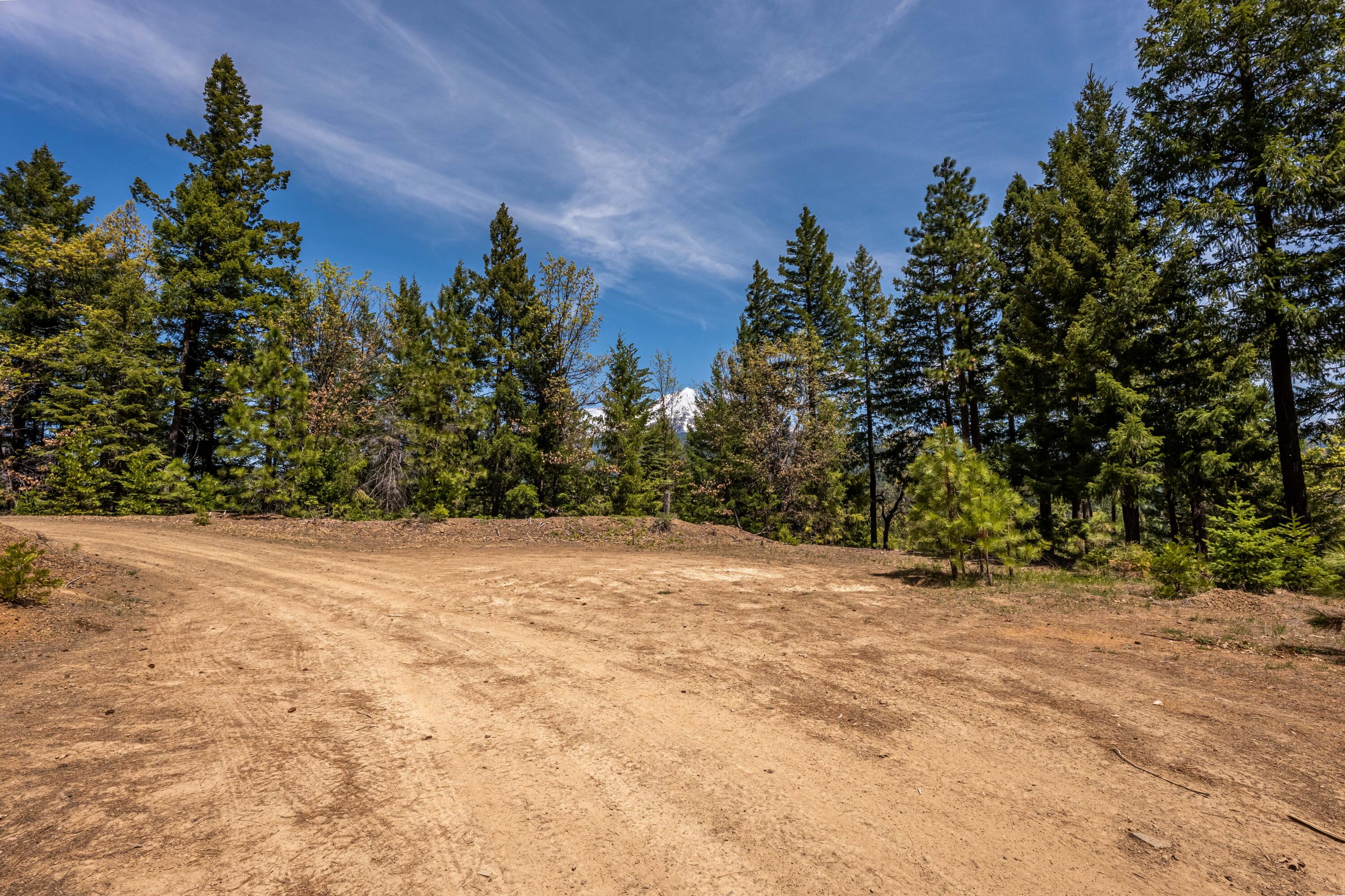 North Shore Road Mount Shasta, CA 96067 - Photo 8 of 21 228 Acres 16