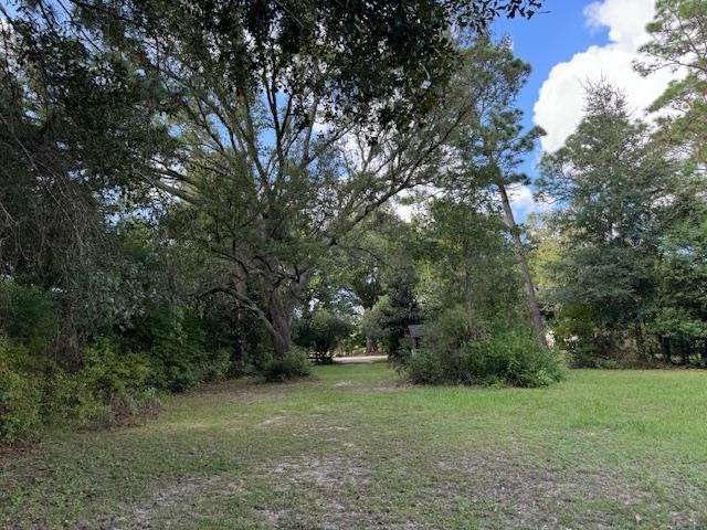 25328 Lavinia Avenue Elberta, AL 36530 - Photo 2 of 9 Yard