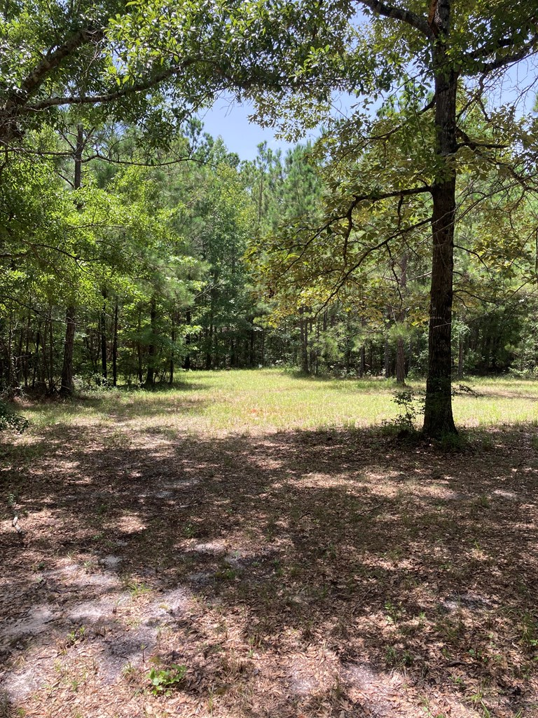 374 Manta Road Cusseta, GA 31805 - Photo 11 of 49 Gallery Image 11