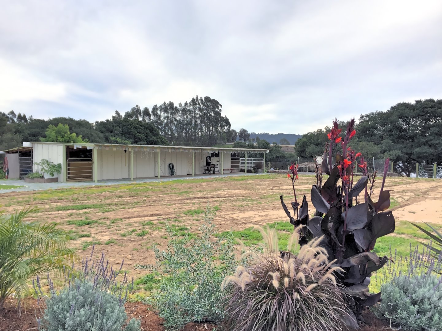 545 Pini Road Watsonville, CA 95076 - Photo 21 of 25