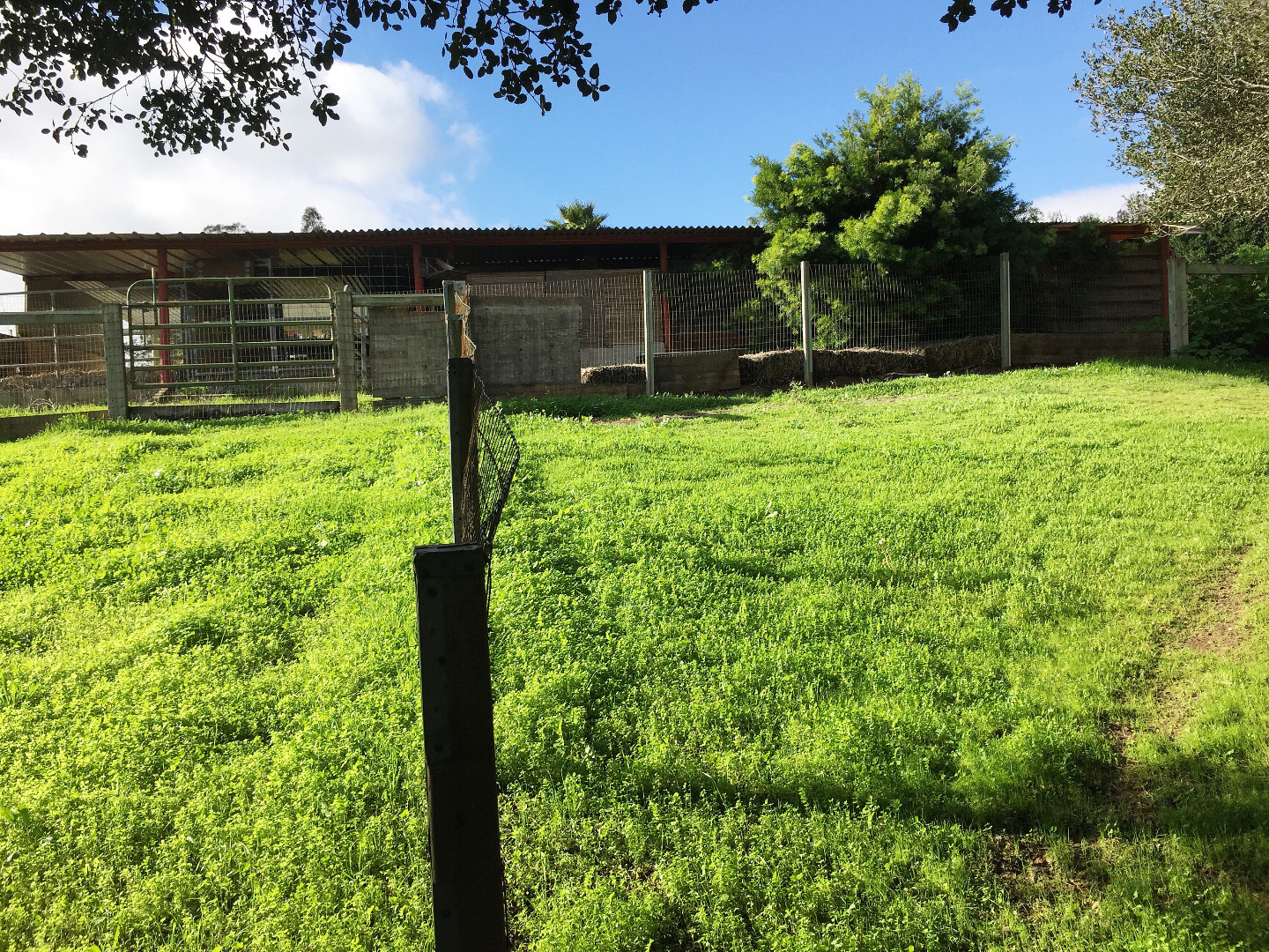 545 Pini Road Watsonville, CA 95076 - Photo 23 of 25