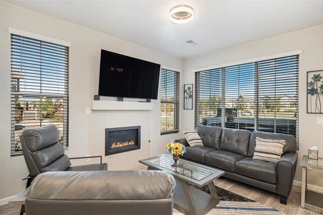a living room with furniture a flat screen tv and a fireplace