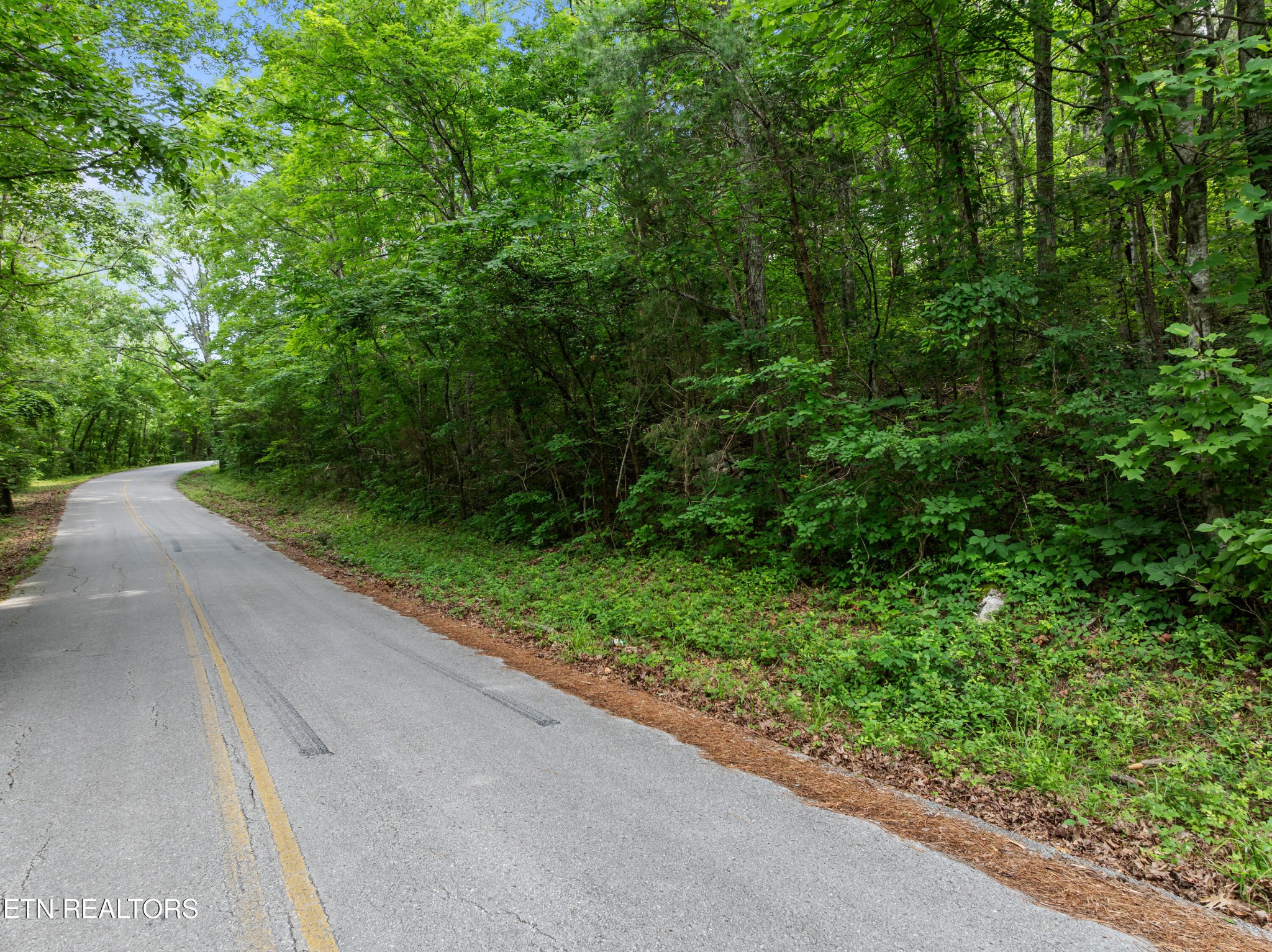 0 Turners Bend Road McMinnville, TN 37110 - Photo 8 of 15