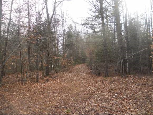46 Hoyt Brook Road Danbury, NH 03230 - Photo 1 of 5 Gallery Image 1