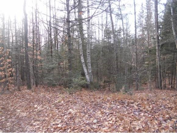 46 Hoyt Brook Road Danbury, NH 03230 - Photo 2 of 5 Gallery Image 2