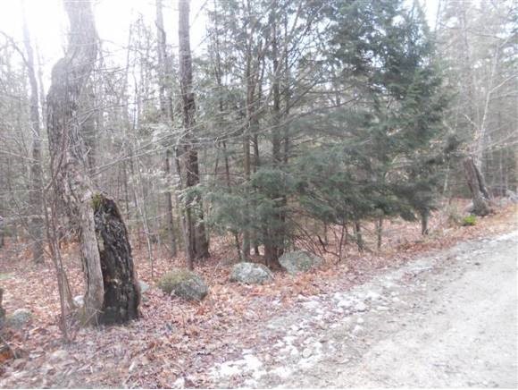 46 Hoyt Brook Road Danbury, NH 03230 - Photo 4 of 5 Gallery Image 4