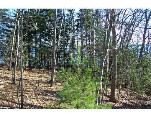 277 Shore Road Northport, ME 04849 - Photo 3 of 10 Land/Lot. ACCOMMODATING BUILDING...