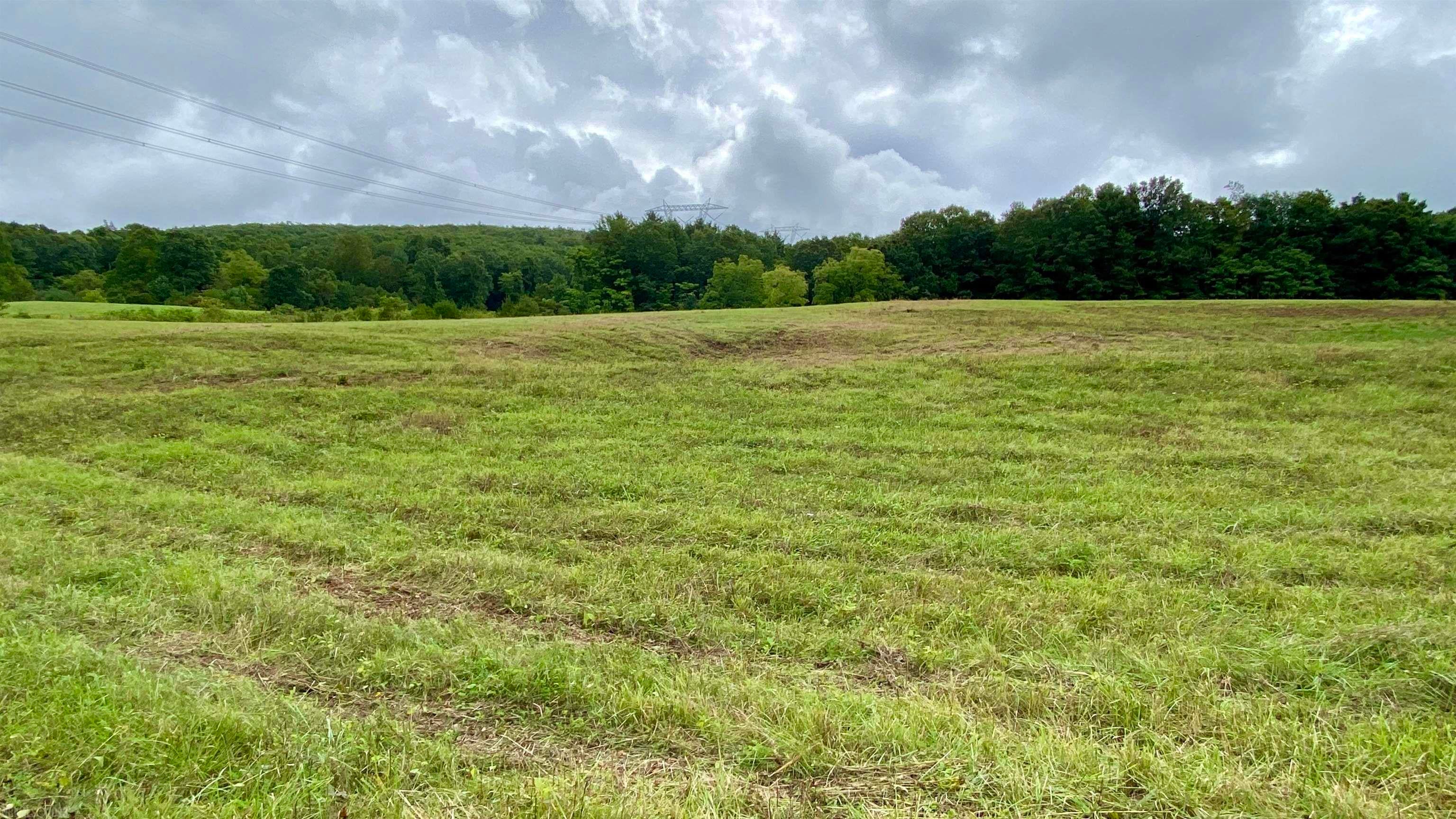 Tbd Castleton Road Max Meadows, VA 24360 - Photo 29 of 37 Gallery Image 29