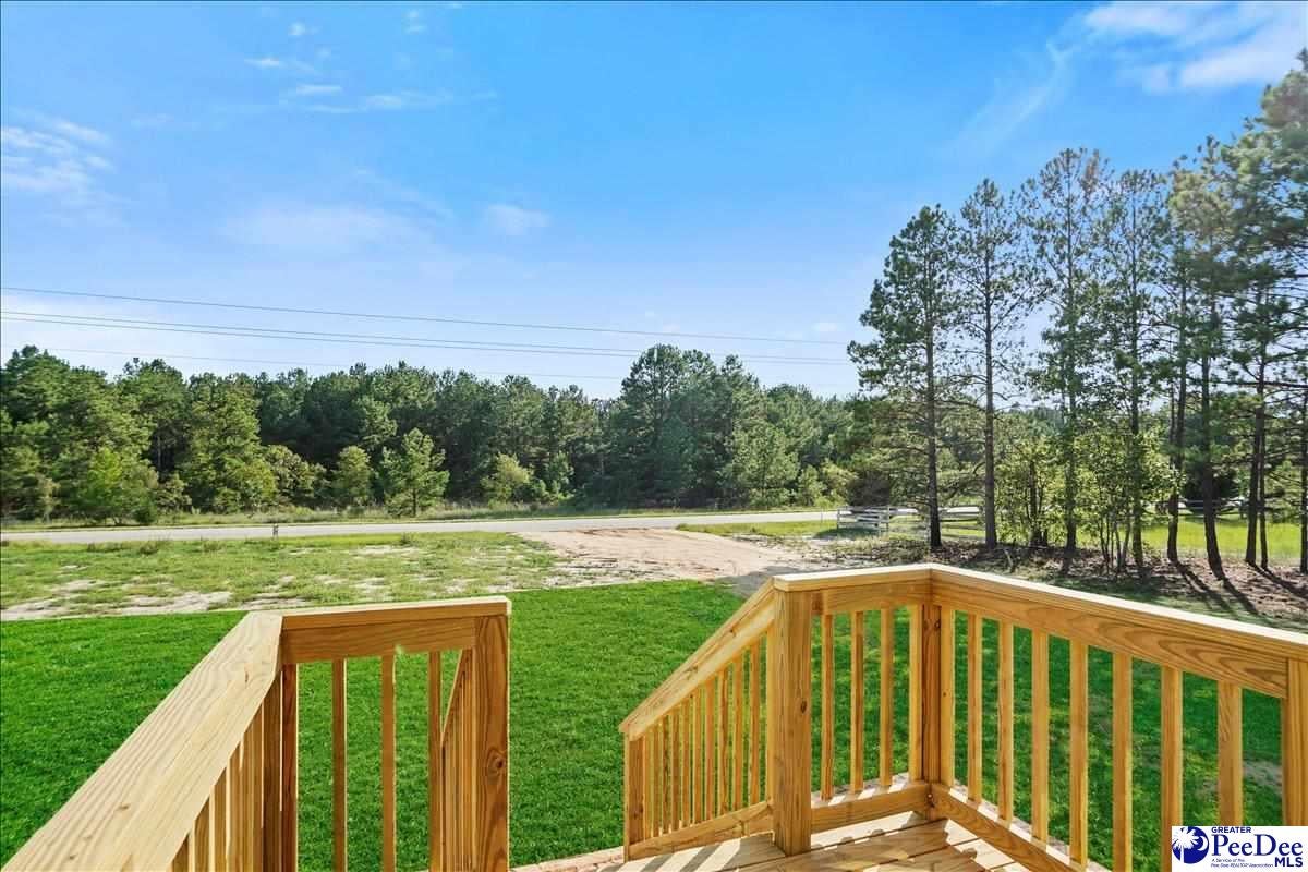 6493 Airport Road Mount Croghan, SC 29727 - Photo 4 of 36 Gallery Image 4