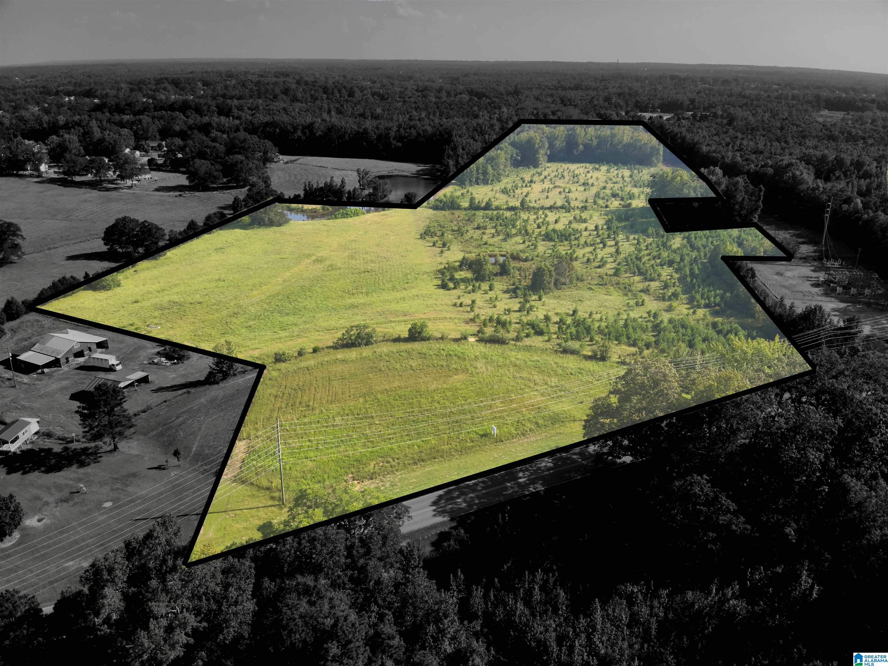 0 New Harmony Road, Unit 35 ACRES / Clanton, AL 35045 - Photo 2 of 21