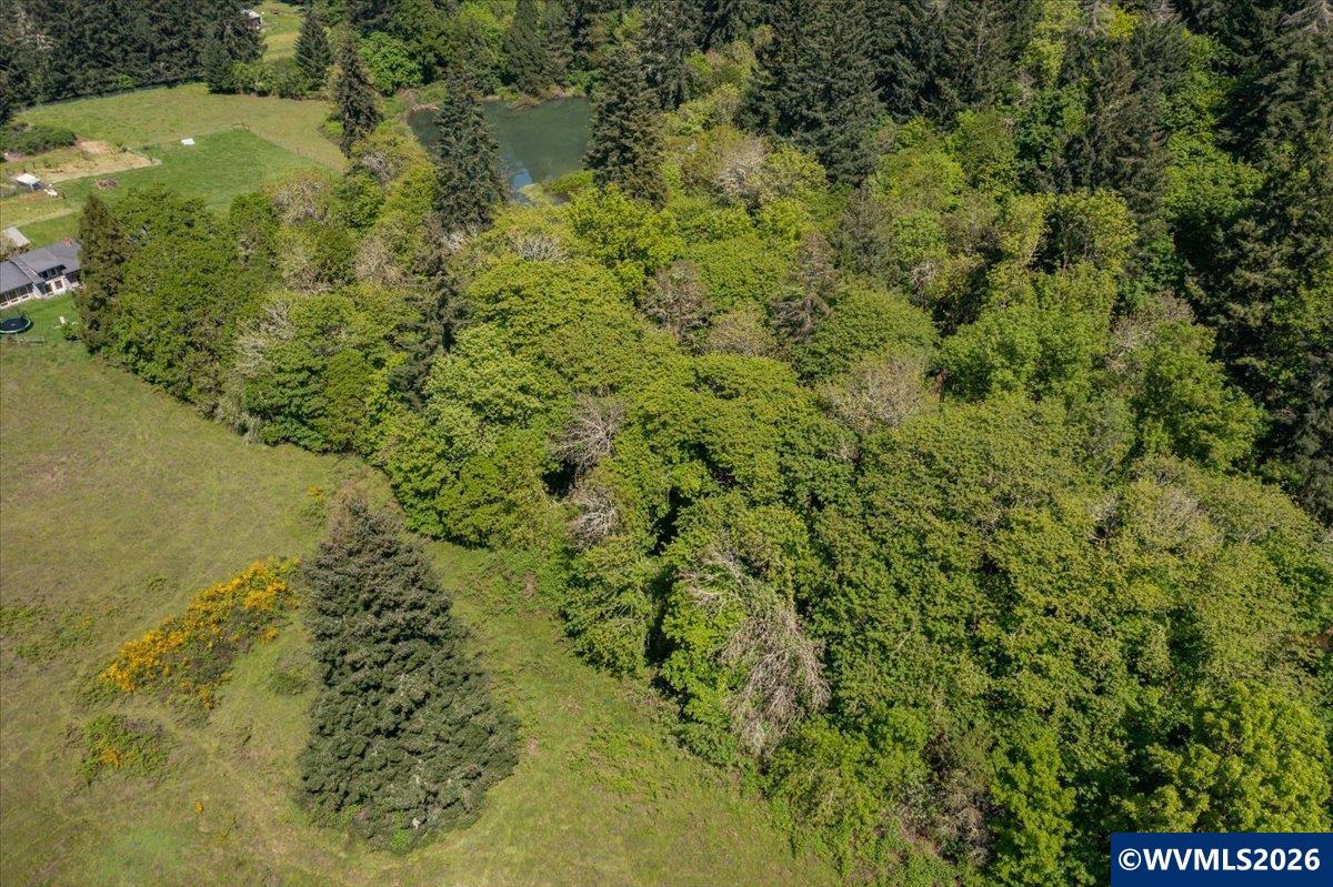201560 Orchard Tract Road Monroe, OR 97456 - Photo 16 of 23