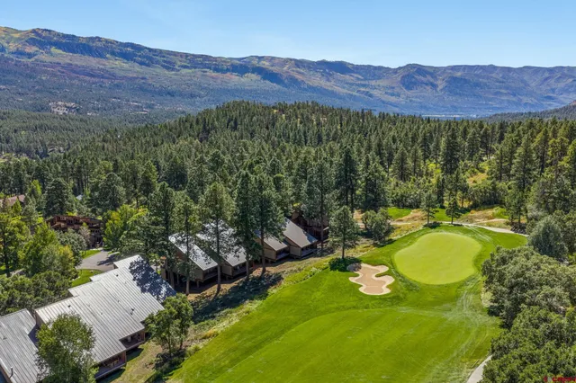 a view of a lush green hillside and a houses
