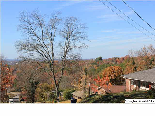 0 Lynn Road, Unit 38 ACRES Anniston, AL 36207 - Photo 3 of 9 Gallery Image 3
