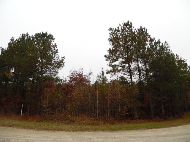 Tbd Tbd None Dry Branch, GA 31020 - Photo 1 of 1 Main View