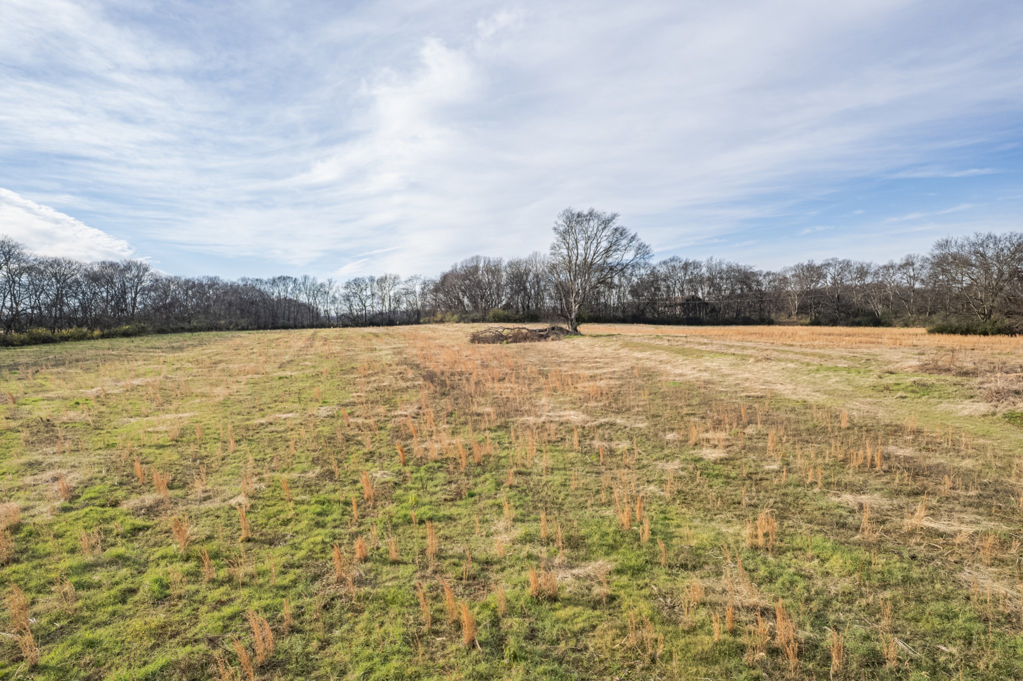 815 South Cross Bridges Road Mount Pleasant, TN 38474 - Photo 29 of 62