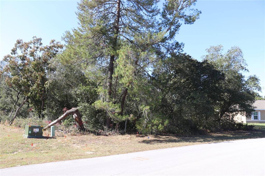 Tbd Marion Oaks Golf Road Ocala, FL 34473 - Photo 7 of 8 Gallery Image 7