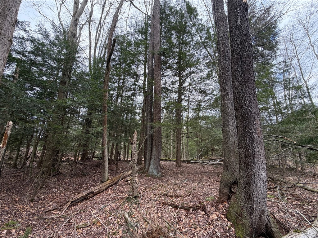Pritchard Road Springville, NY 14141 - Photo 5 of 23