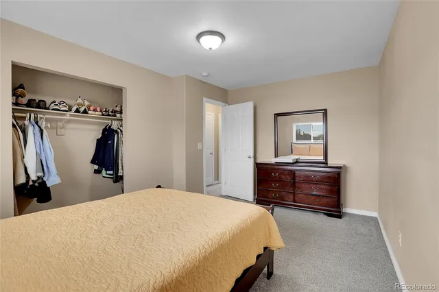 a bedroom with a bed and a closet