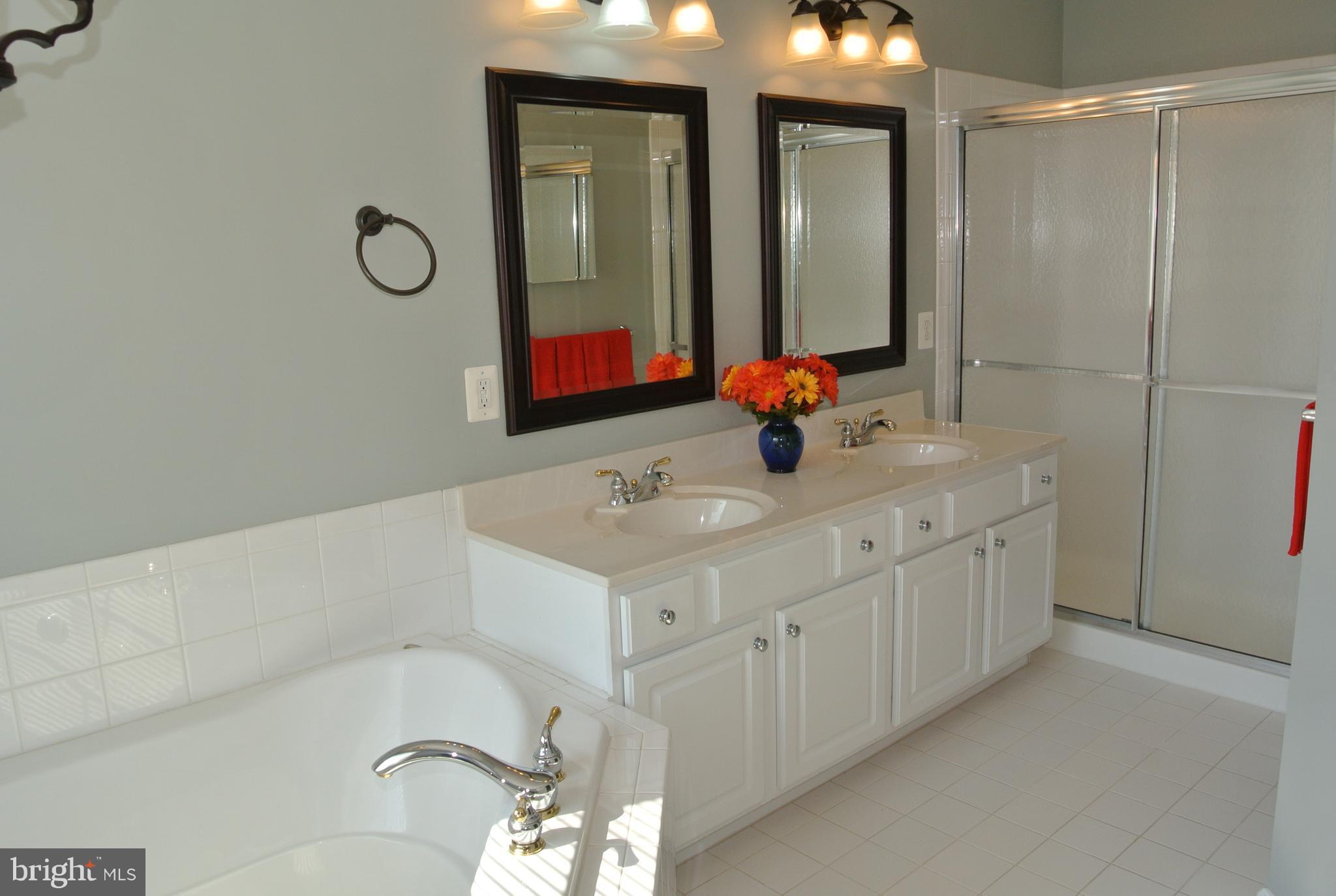 10205 Brighton Ridge Way, Unit 89 Columbia, MD 21044 - Photo 17 of 30 Bath (Master)