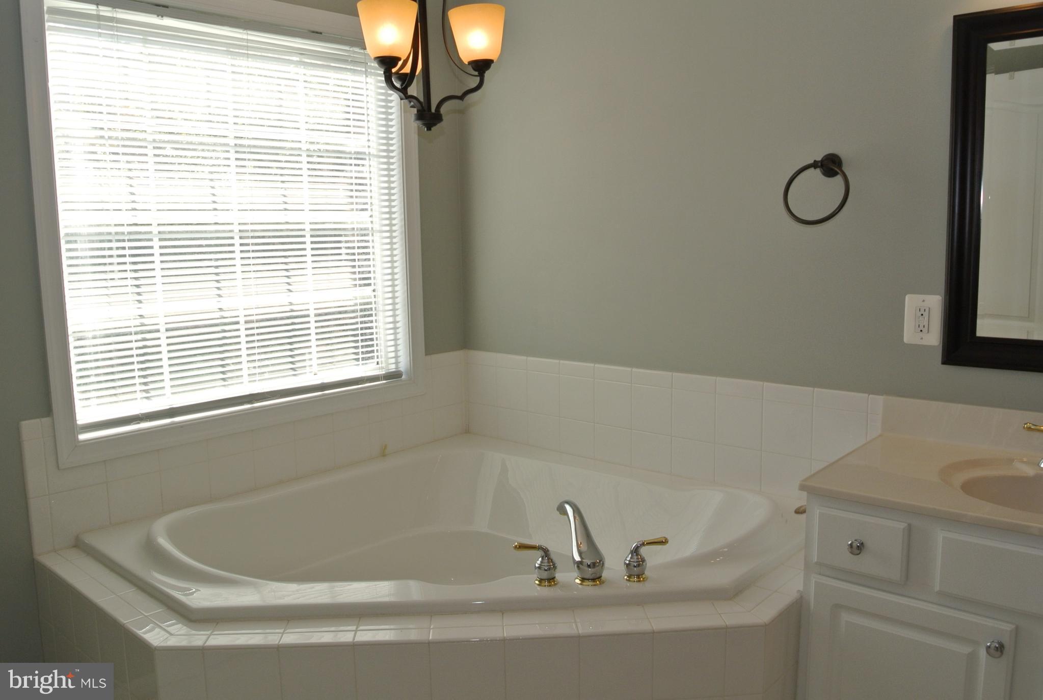 10205 Brighton Ridge Way, Unit 89 Columbia, MD 21044 - Photo 20 of 30 Bath (Master)-Soaking Tub