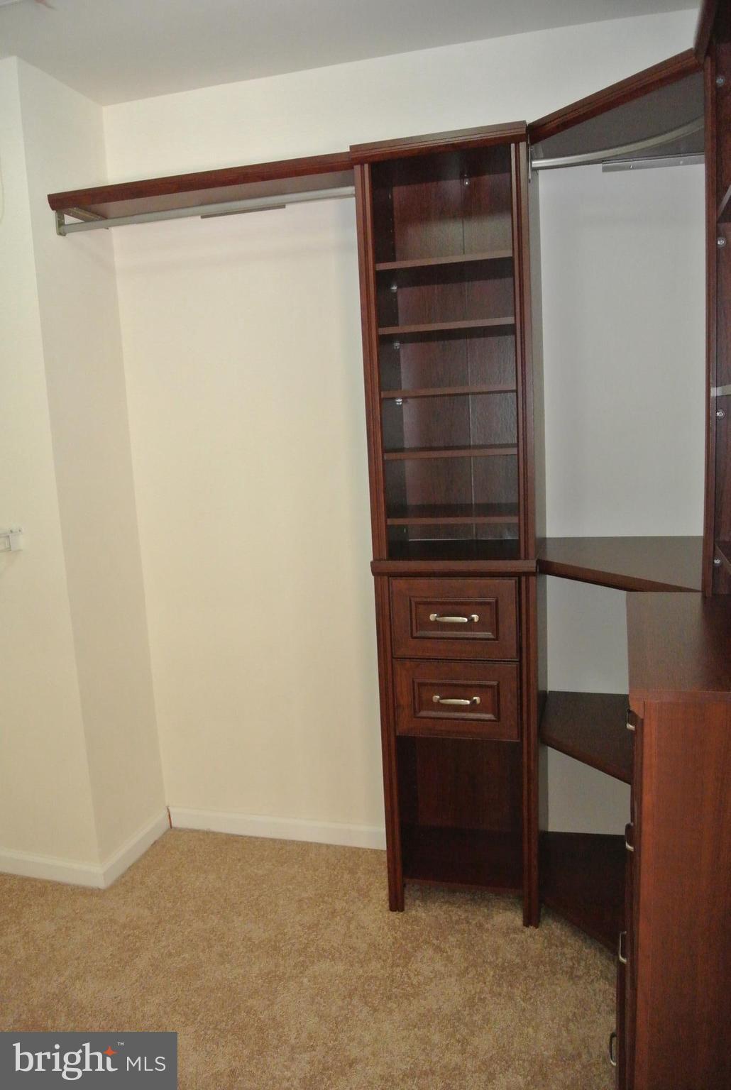 10205 Brighton Ridge Way, Unit 89 Columbia, MD 21044 - Photo 21 of 30 Bedroom (Master) with Built-In Closet Organizer