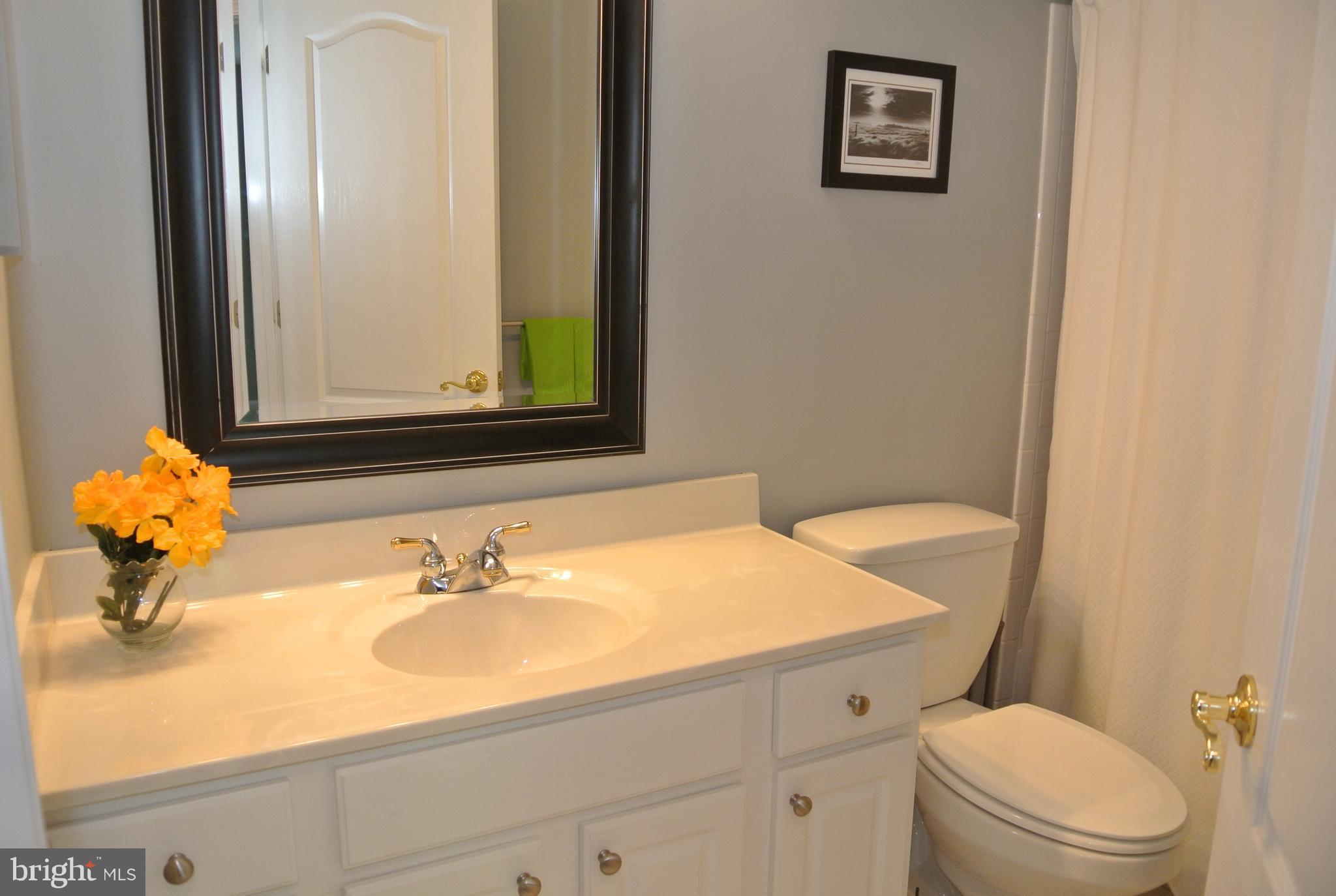 10205 Brighton Ridge Way, Unit 89 Columbia, MD 21044 - Photo 22 of 30 Hall Bath