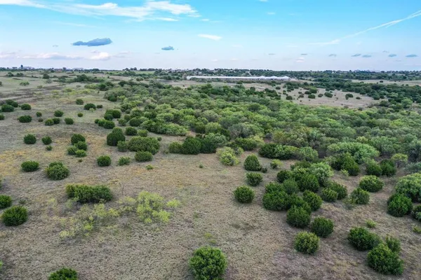 a view of a bunch of trees and bushes