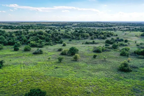 a view of a green field with lots of plants in it