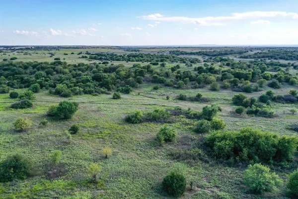 a view of a big yard with lots of green space and deers