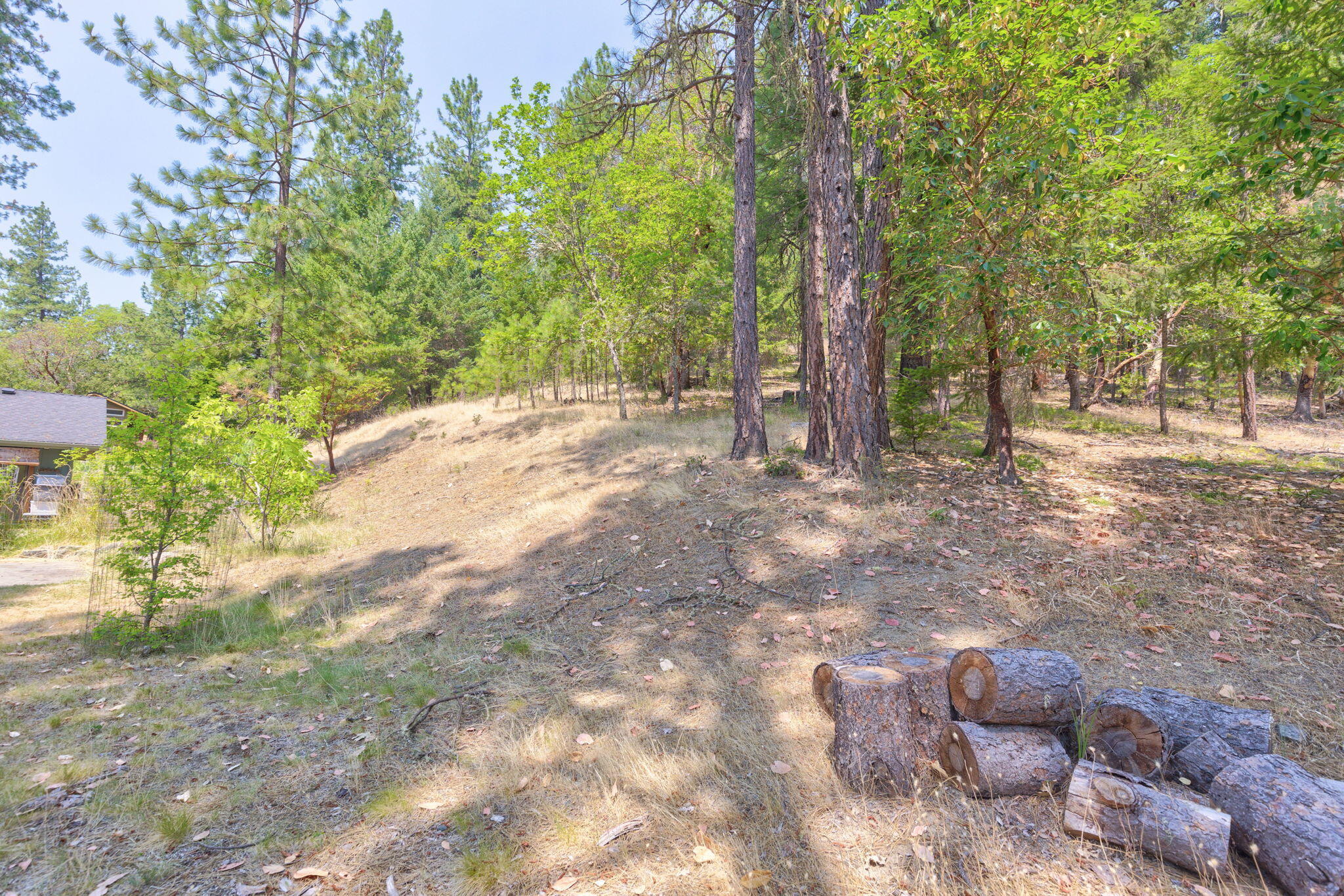 430 Kincaid Road Williams, OR 97544 - Photo 22 of 50 26-web-or-mls-0R1A4238_39_40_41_42