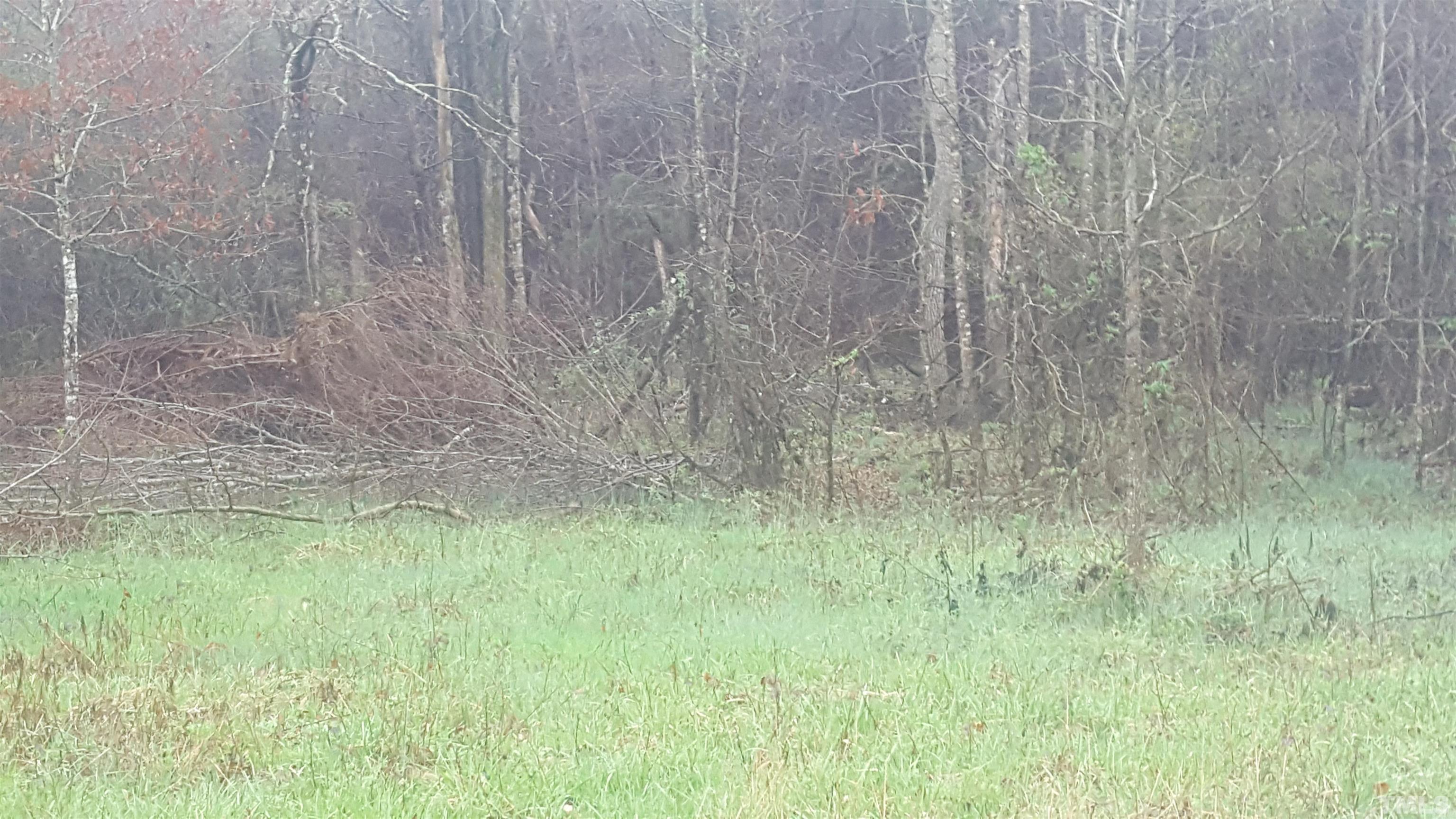 Sumler Road Castalia, NC 27816 - Photo 3 of 3 Gallery Image 3