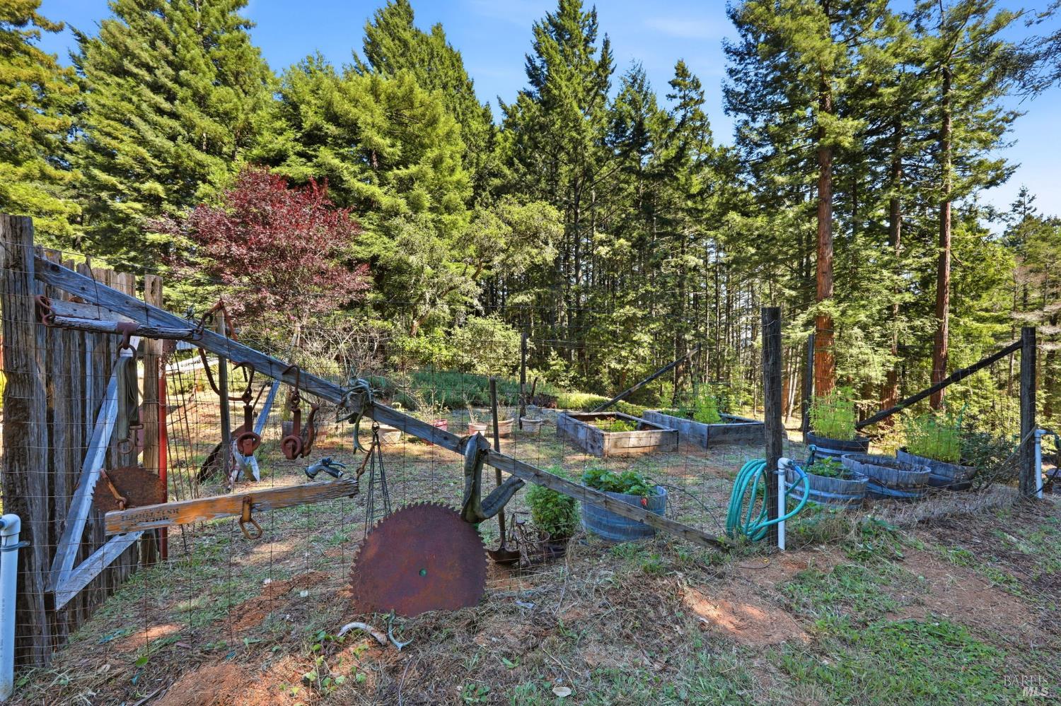 17375 Willow Creek Road Occidental, CA 95465 - Photo 62 of 94