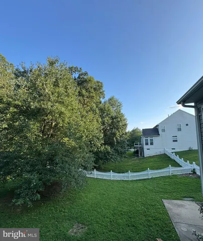 a view of a big yard with potted plants and large tree