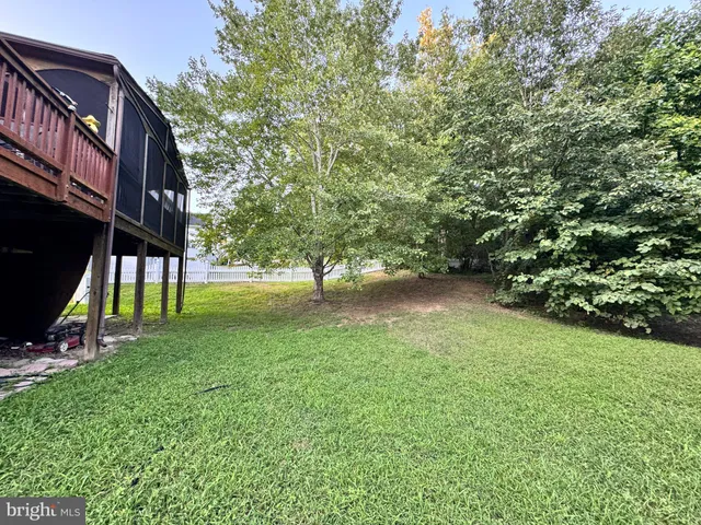 a view of a park with large trees