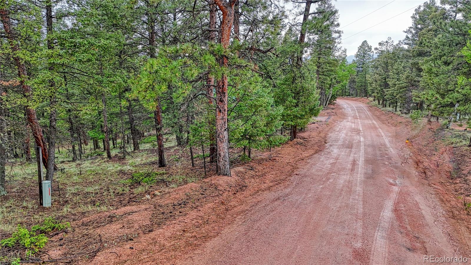 1061 Pinewood Road Florissant, CO 80816 - Photo 11 of 20