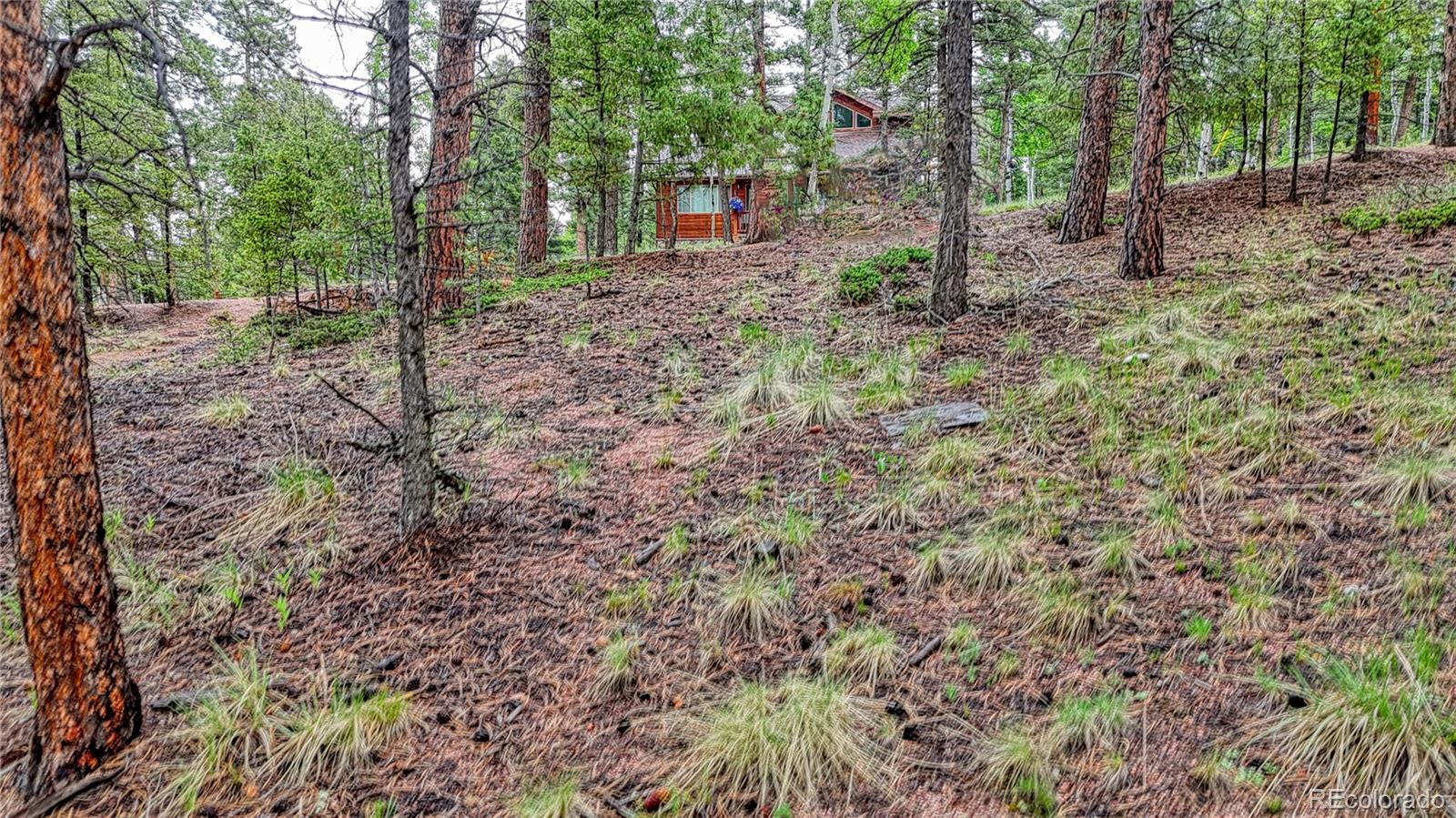 1061 Pinewood Road Florissant, CO 80816 - Photo 13 of 20