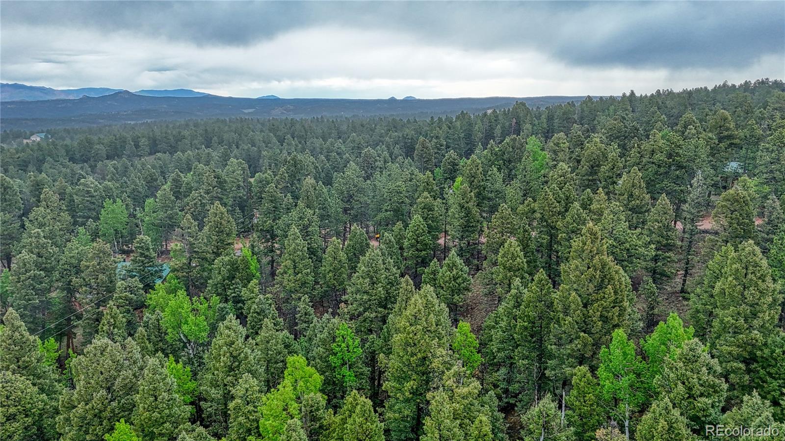 1061 Pinewood Road Florissant, CO 80816 - Photo 14 of 20