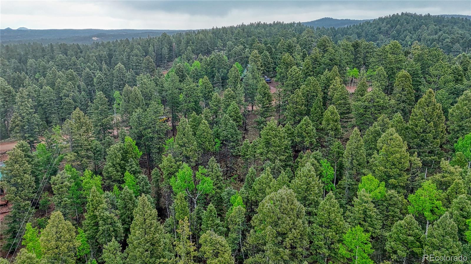 1061 Pinewood Road Florissant, CO 80816 - Photo 15 of 20
