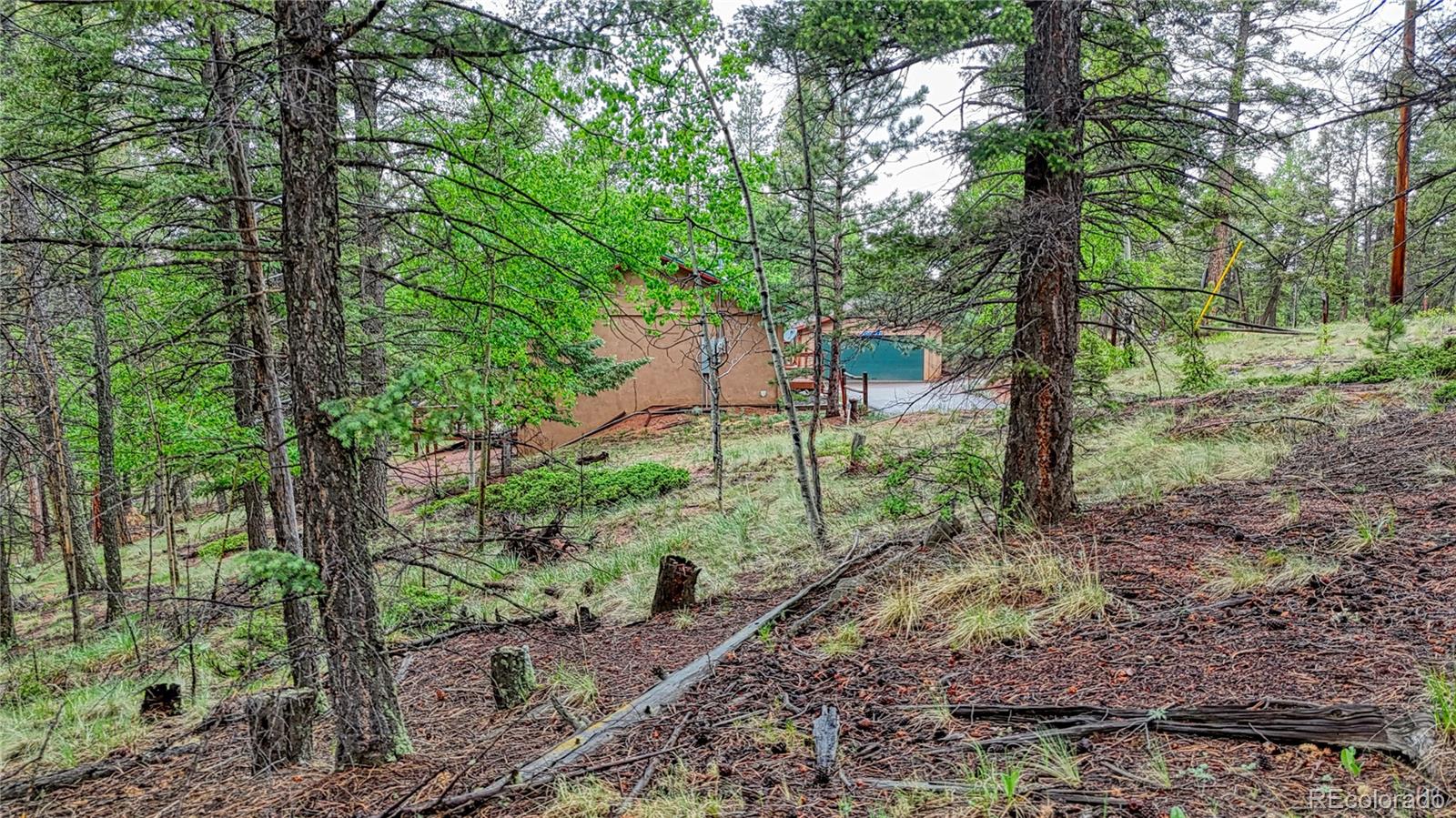 1061 Pinewood Road Florissant, CO 80816 - Photo 16 of 20