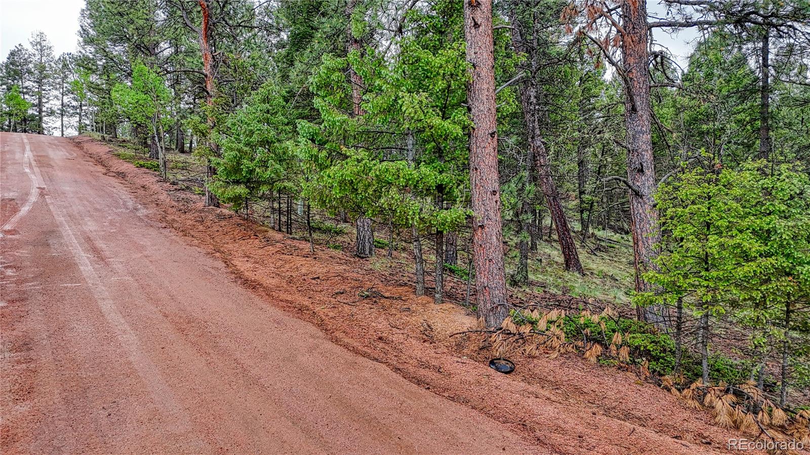 1061 Pinewood Road Florissant, CO 80816 - Photo 18 of 20