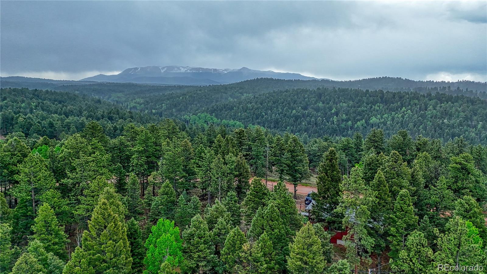 1061 Pinewood Road Florissant, CO 80816 - Photo 7 of 20