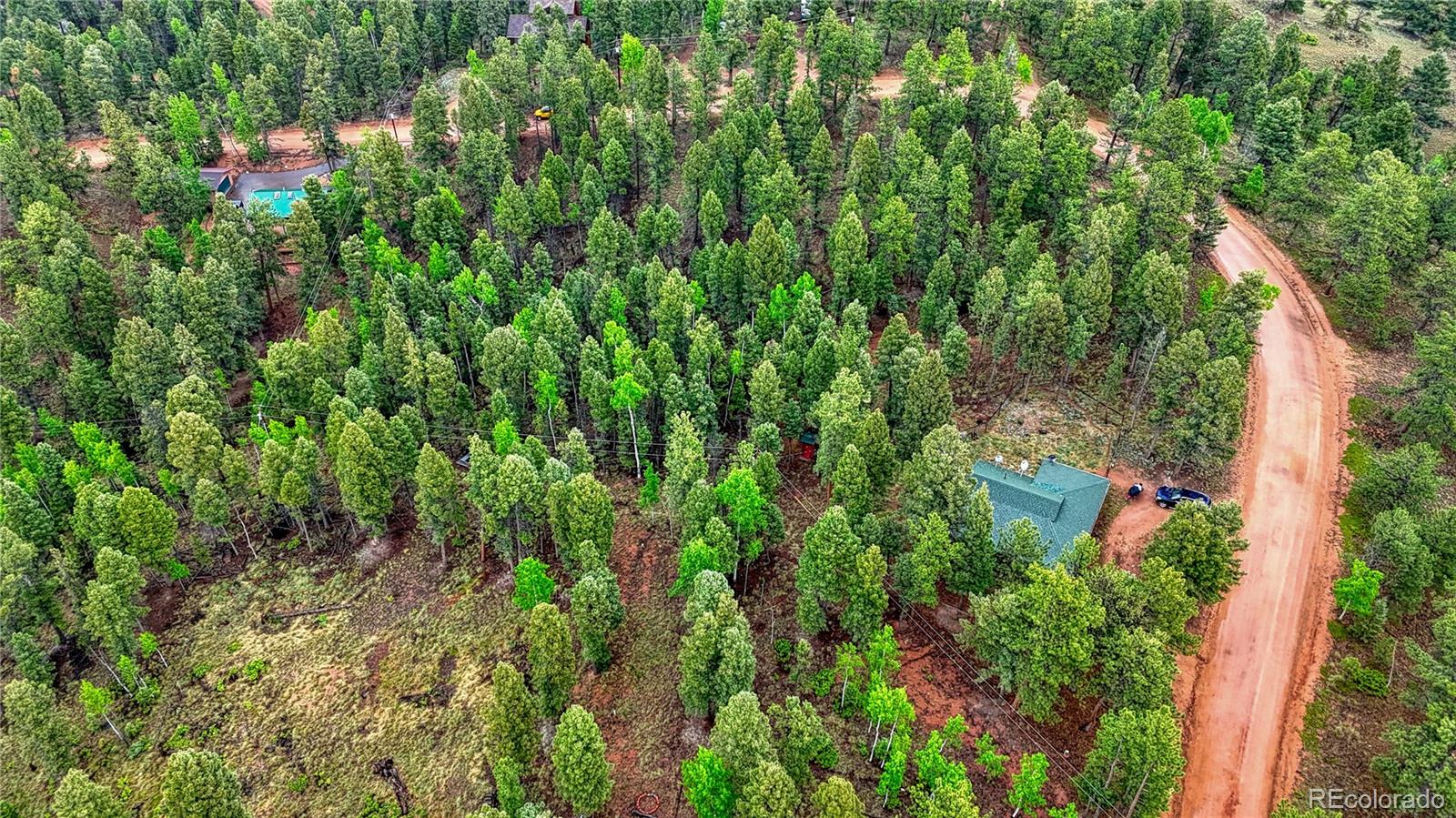 1061 Pinewood Road Florissant, CO 80816 - Photo 8 of 20