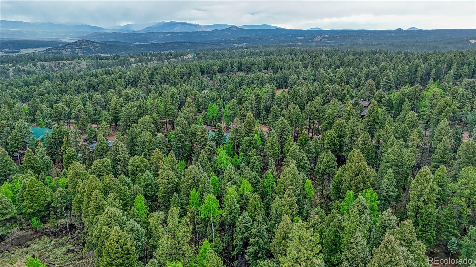 1061 Pinewood Road Florissant, CO 80816 - Photo 9 of 20