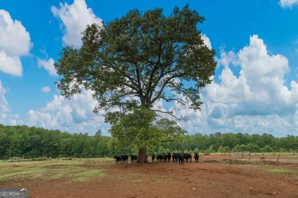 $849,000 | 1540 Flint Hill Highway, Shiloh, GA 31826